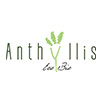 Anthyllis Anthyllis